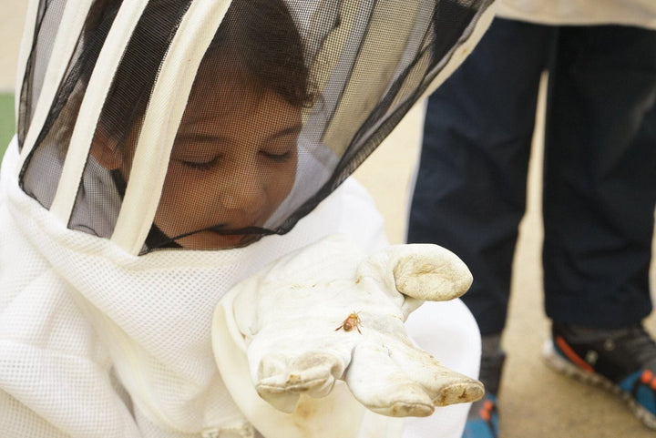 Kids maintaining their own educational hives and pollinator curriculum